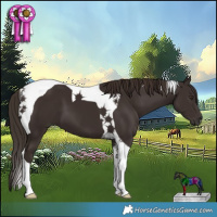 Horse Color:Liver Chestnut Tobiano 