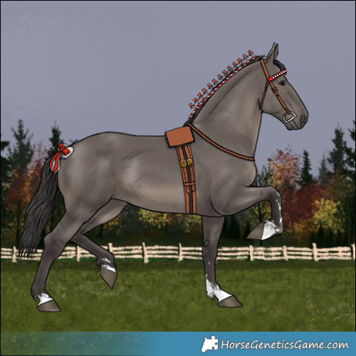 Horse Color:Smoky Grullo Rabicano 