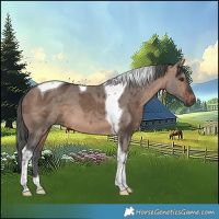 Horse Color:Brown Dun Merle Tobiano