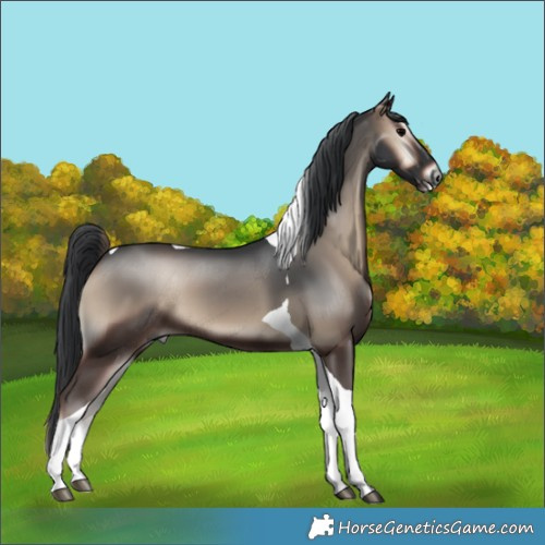 Horse Color:Blue Onyx Tobiano 