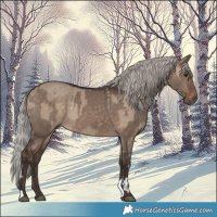 Horse Color:White Spotted Silver Brown Dun and Silver Brown Dun