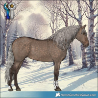Horse Color:White Spotted Silver Brown Dun and Silver Brown Dun
