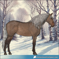 Horse Color:Silver Brown Dun