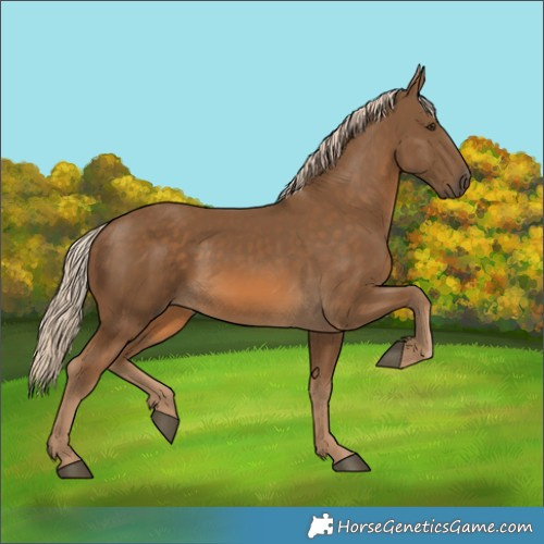 Horse Color:Chocolate Palomino 