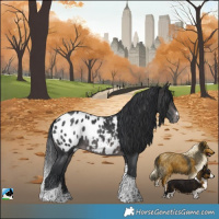 Horse Color:Platinum Brown Tobiano Appaloosa
