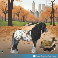 Horse Color:Platinum Brown Tobiano Blanket 