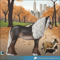 Horse Color:Liver Chestnut Mushroom Rabicano