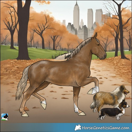 Horse Color:Chocolate Palomino Mushroom