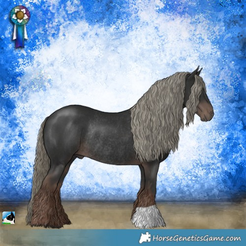 Horse Color:Liver Chestnut Mushroom Rabicano 