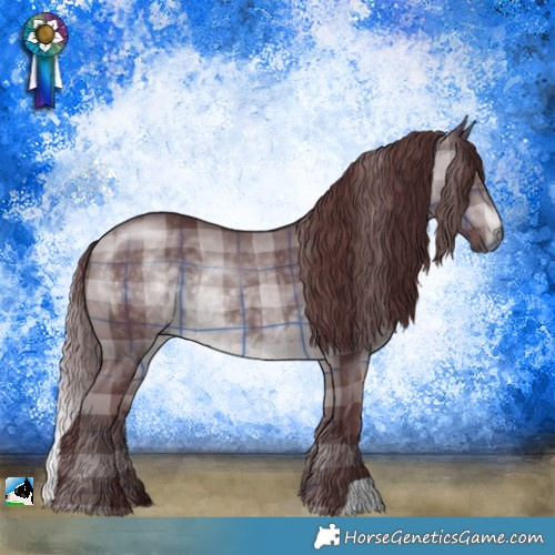 Horse Color:Plaid  Chocolate Brown Chinchilla 