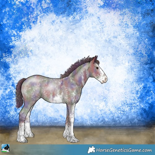 Horse Color:Nacre Chocolate Black Chinchilla Sabino 