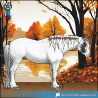 Horse Color:White Spotted Black Rabicano