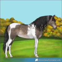 Horse Color:Brown Dun Tobiano 