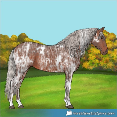 Horse Color:White Spotted Silver Bay Ice 