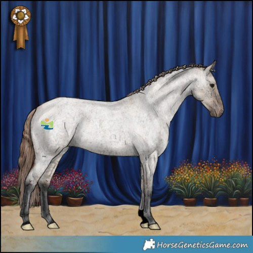 Horse Color:Bay Ice Roan Dun Appaloosa 