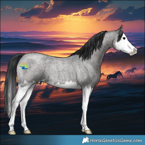 Horse Color:Blue Roan Splash 