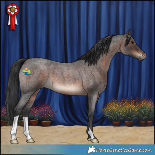 Horse Color:Brown Roan Mushroom