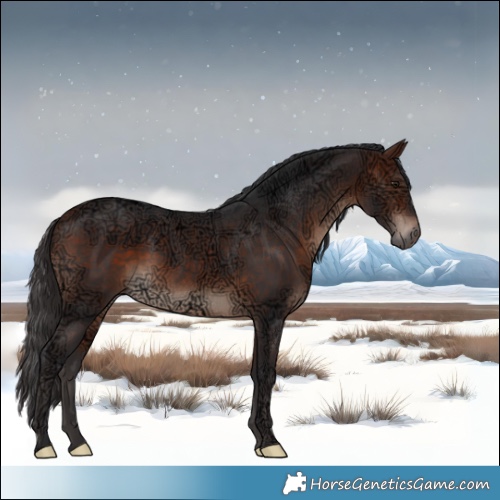 Horse Color:Void Bay Ice Mushroom Rabicano 