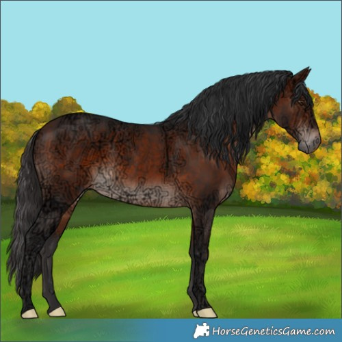 Horse Color:Void Bay Ice Mushroom Rabicano