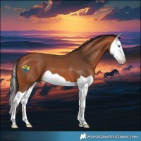 Horse Color:Bay Splash 