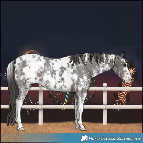 Horse Color:White Spotted Liver Chestnut Sabino Blanket 