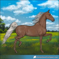 Horse Color:Silver Black 
