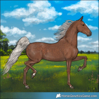 Horse Color:Silver Black 