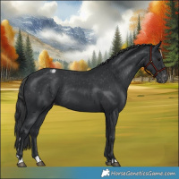 Horse Color:Black Varnish Rabicano 