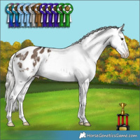 Horse Color:Liver Red Dun Mushroom Appaloosa Brindle 