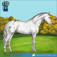 Horse Color:Liver Red Dun Appaloosa Brindle