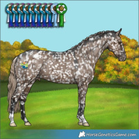 Horse Color:Liver Red Dun Snowflake Varnish Brindle 