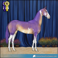 Horse Color:Watercolor Brown Sabino 