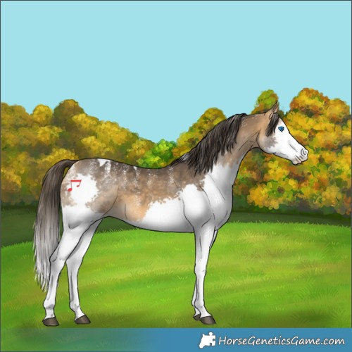 Horse Color:Powder White Buckskin Splash Tobiano 