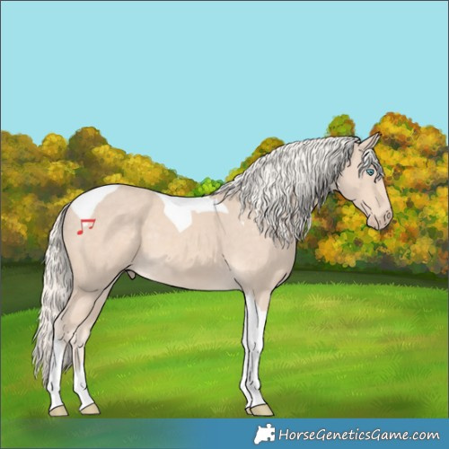 Horse Color:Cremello Tobiano 