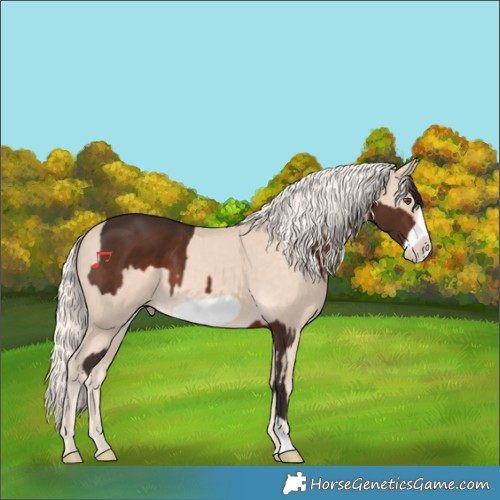 Horse Color:Liver Chestnut Frame  and Cremello Frame 