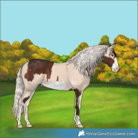 Horse Color:Liver Chestnut Frame  and Cremello Frame 
