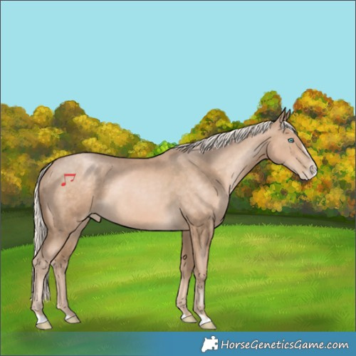 Horse Color:Chocolate Palomino Pearl Frame