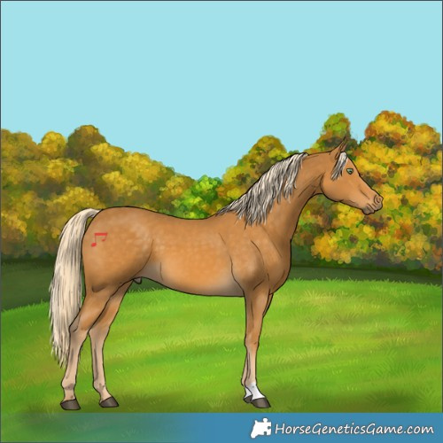 Horse Color:Palomino 