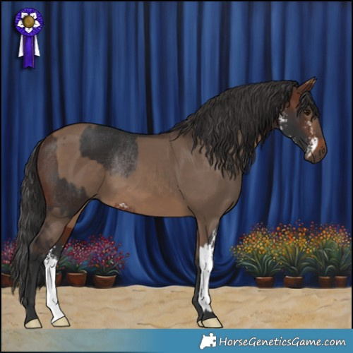 Horse Color:Brown Sabino Rabicano  and Brown Dun 