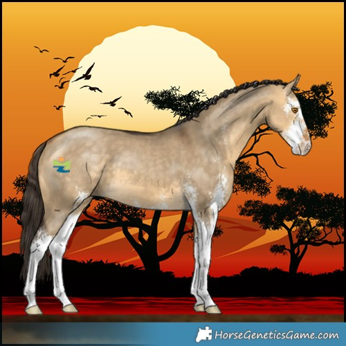 Horse Color:Buckskin Dun Sabino 