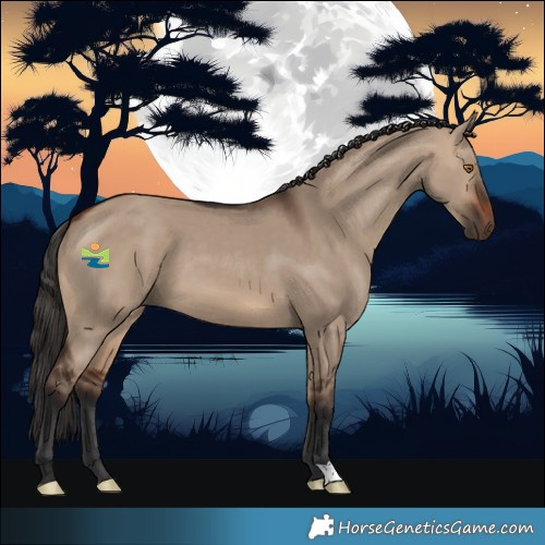 Horse Color:Brown Dun 