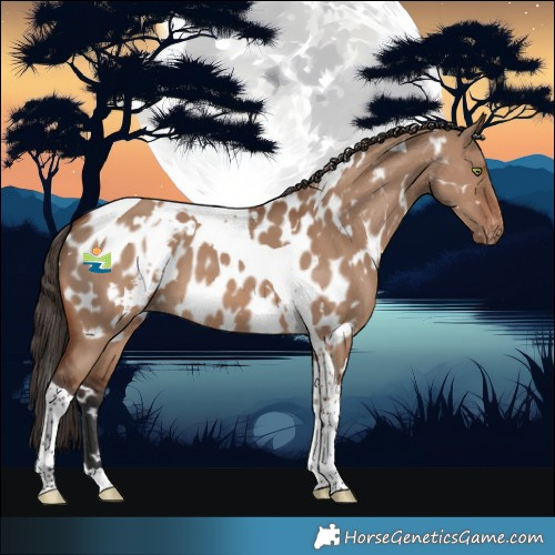 Horse Color:White Spotted Brown Dun Tobiano Near Leopard 