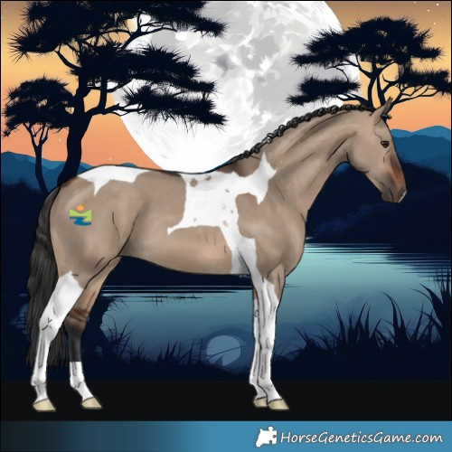 Horse Color:Brown Dun Tobiano 