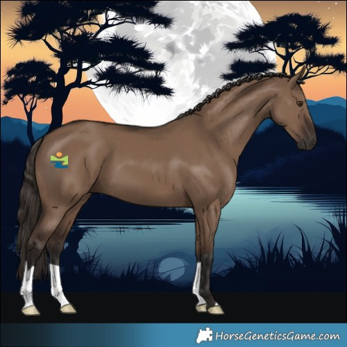 Horse Color:Liver Red Dun 