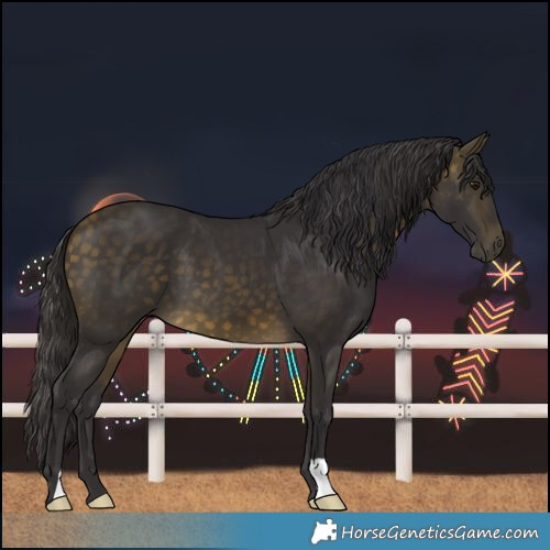 Horse Color:Buckskin 