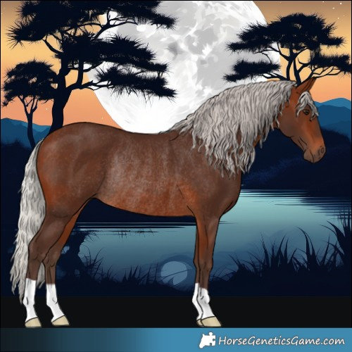 Horse Color:Silver Brown Rabicano 