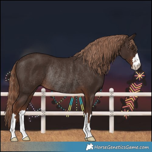 Horse Color:Liver Chestnut Rabicano 