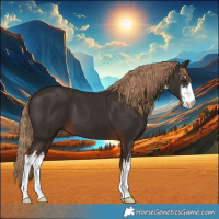 Horse Color:White Spotted Liver Chestnut 