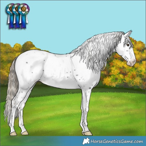 Horse Color:Liver Chestnut Sabino Appaloosa 