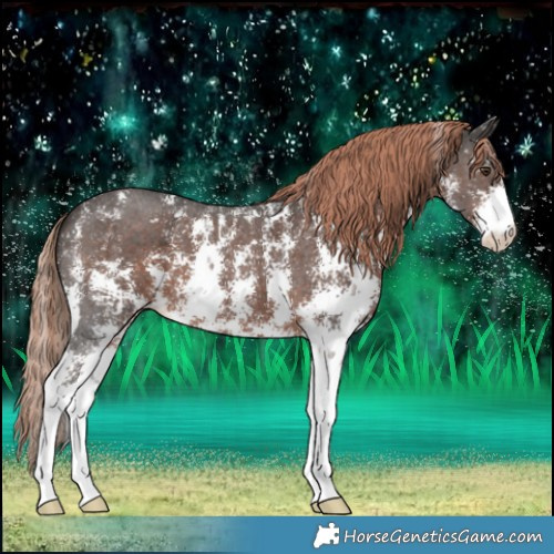 Horse Color:Liver Chestnut Sabino 